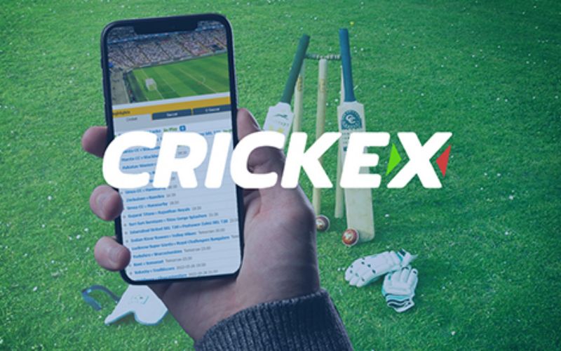 Crickex Bangladesh App Review – Is it a Safe Betting Platform?