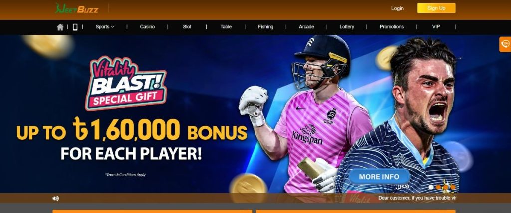 Jeetbuzz Cricket Betting: Where Numbers Define the Game