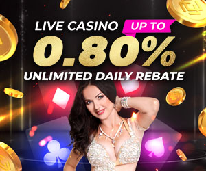 Casino 0.8% Unlimited Daily Rebate